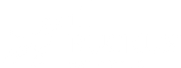 Ruckus Networks